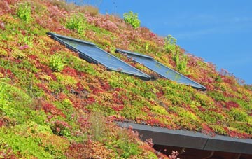 Moorhouses living roof systems