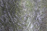 Moorhouses fibreglass roof work